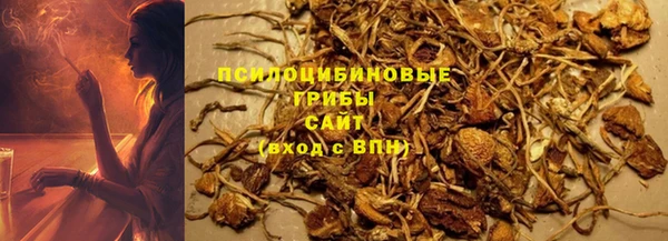 тгк Аркадак