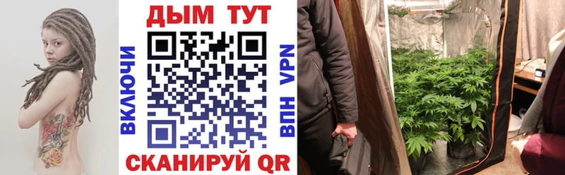 закладка  Полярный  Конопля конопля 